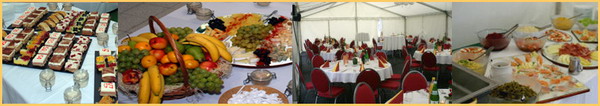 catering weiz